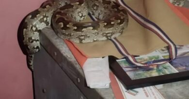 देखिए KORBA वीडियो: कूलर में बैठा था अजगर, बिजली गुल थी तो टॉर्च की रौशनी में किया रेस्क्यू…