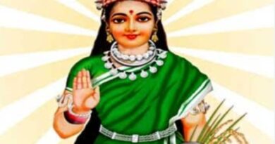 KORBA : हरेली महोत्सव को लेकर छत्तीसगढ़ महतारी संस्कृति संवर्धन सेवा समिति की बैठक संपन्न
