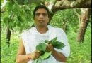 आचार्य बालकृष्ण के जन्मदिन को जड़ी बूटी दिवस के रूप में मनायेंगे, औषधीय पौधे वितरण कर बतायेंगे प्रयोगविधि…