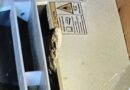 पर्यटन स्थल के कैंटीन में पहुंचा common Cat snake, सांप को देखते ही डर के भागे लोग